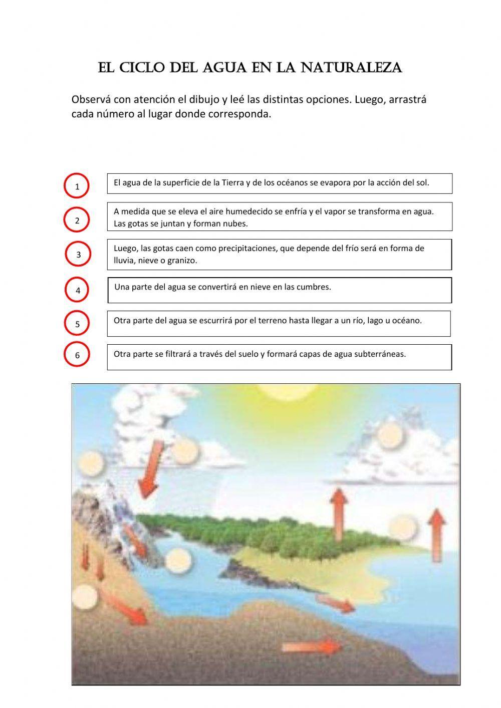 Ciclo del agua en la naturaleza