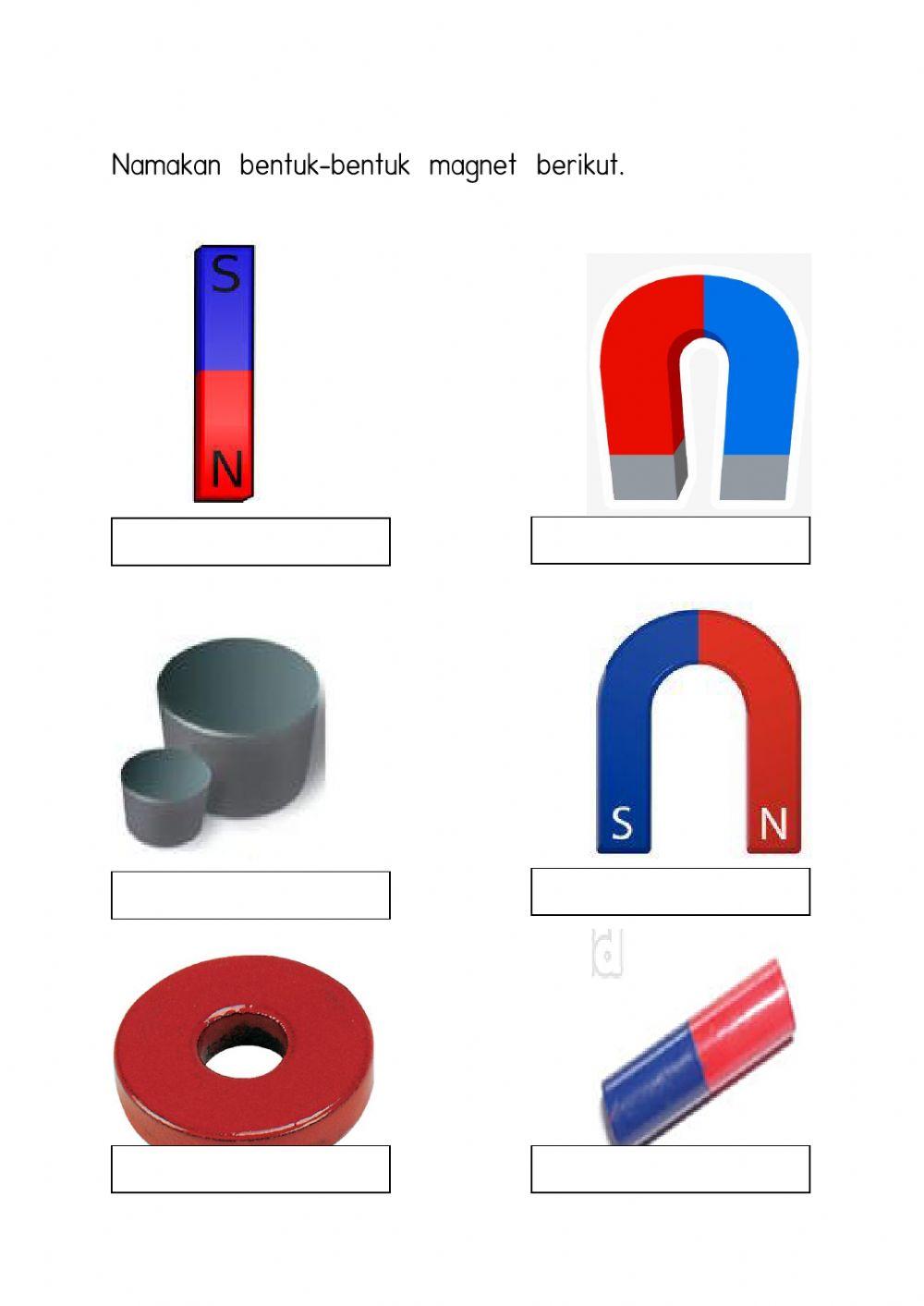 exercise Live Worksheets