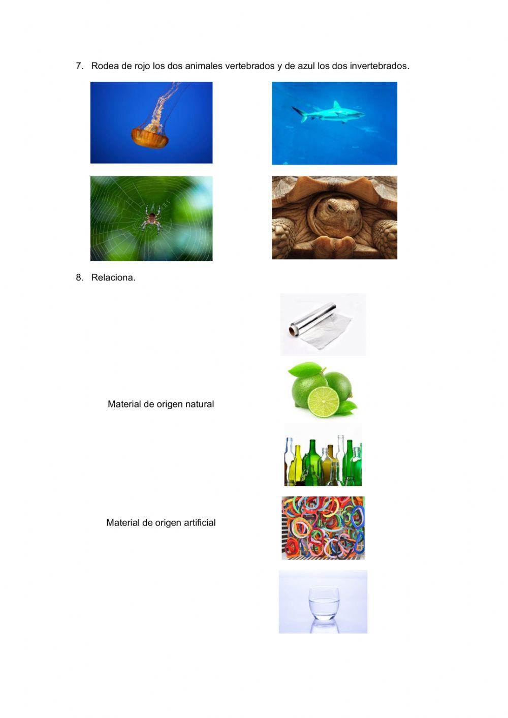 Evaluación Inicial Naturales 3º Primaria