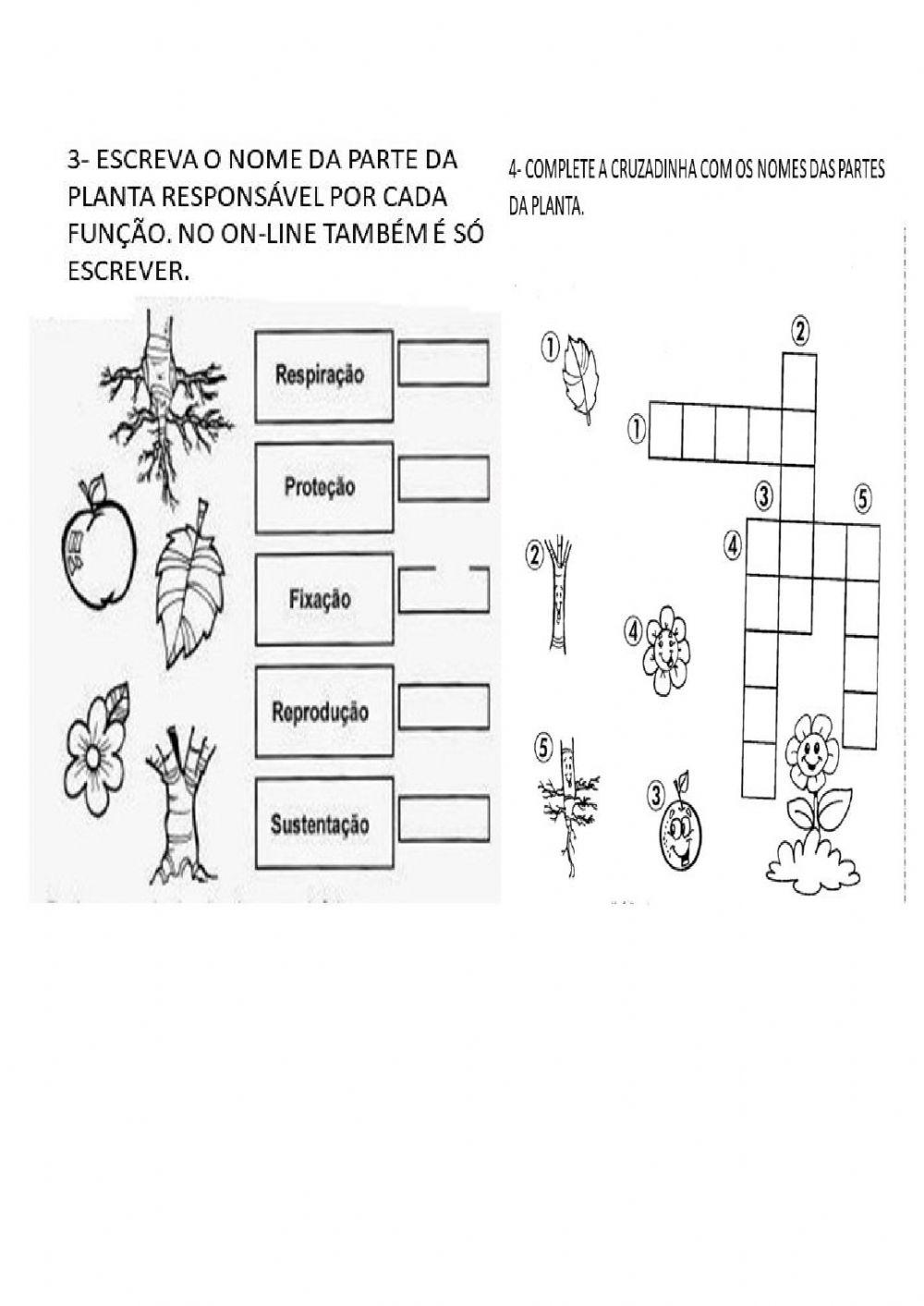 AS PARTES DAS PLANTAS - puzzle online