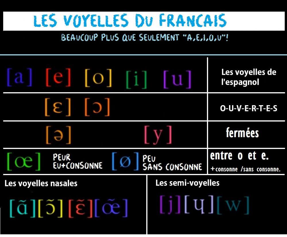 Les voyelles du français worksheet | Live Worksheets