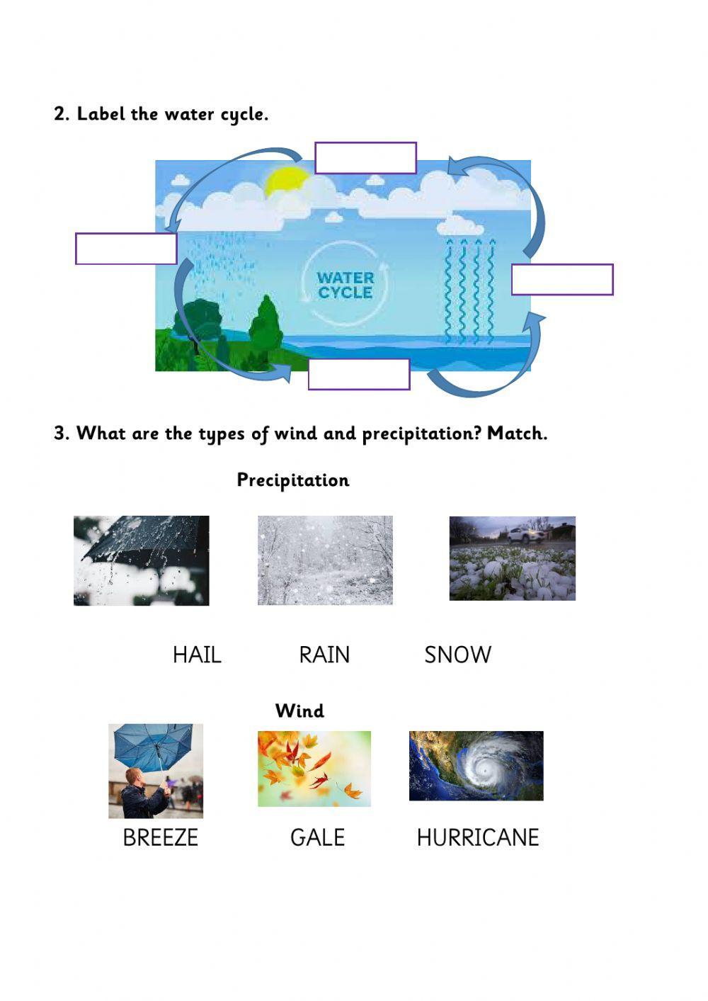 The water cycle