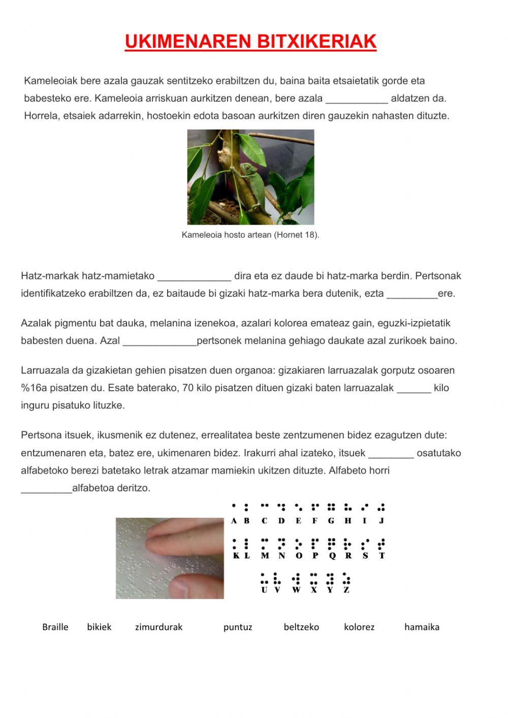 Ukimenaren bitxikeriak