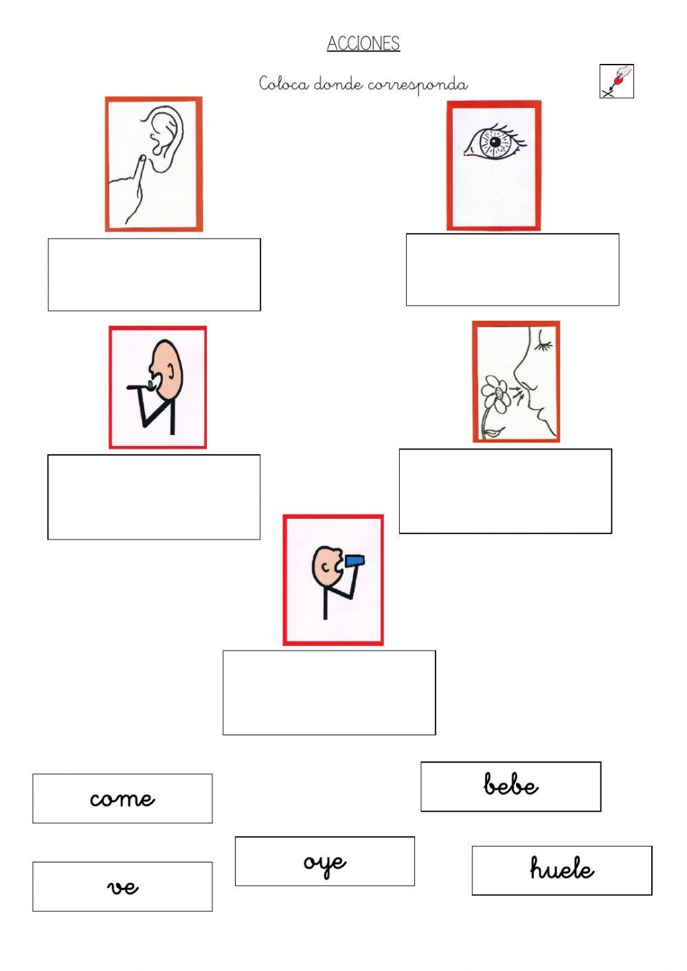 Coloca donde corresponde, acciones