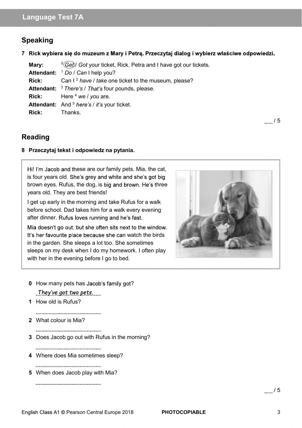 5785208 | English class A1 unit 7 test | mila2620