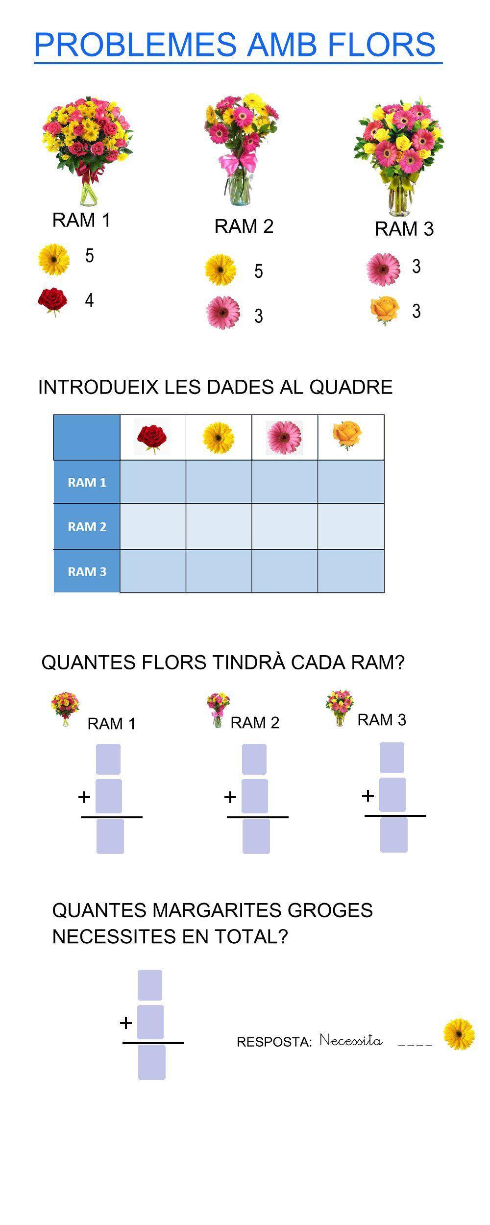 Problemes de flors reforç