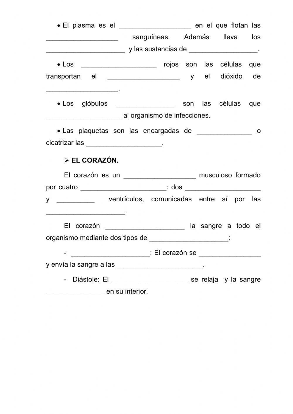 El aparato circulatorio