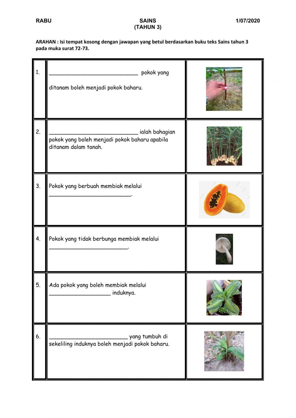Cara Pembiakan Tumbuh-Tumbuhan