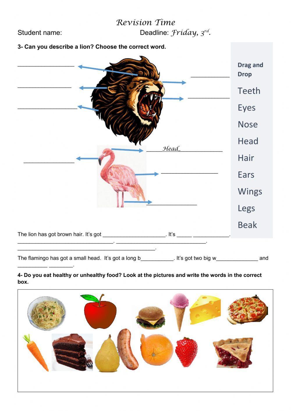 Revision Animals, body parts and Food