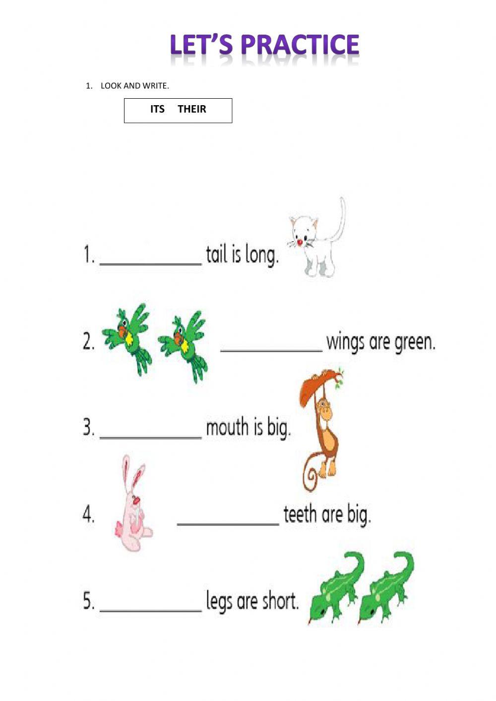 Animals parts of the body