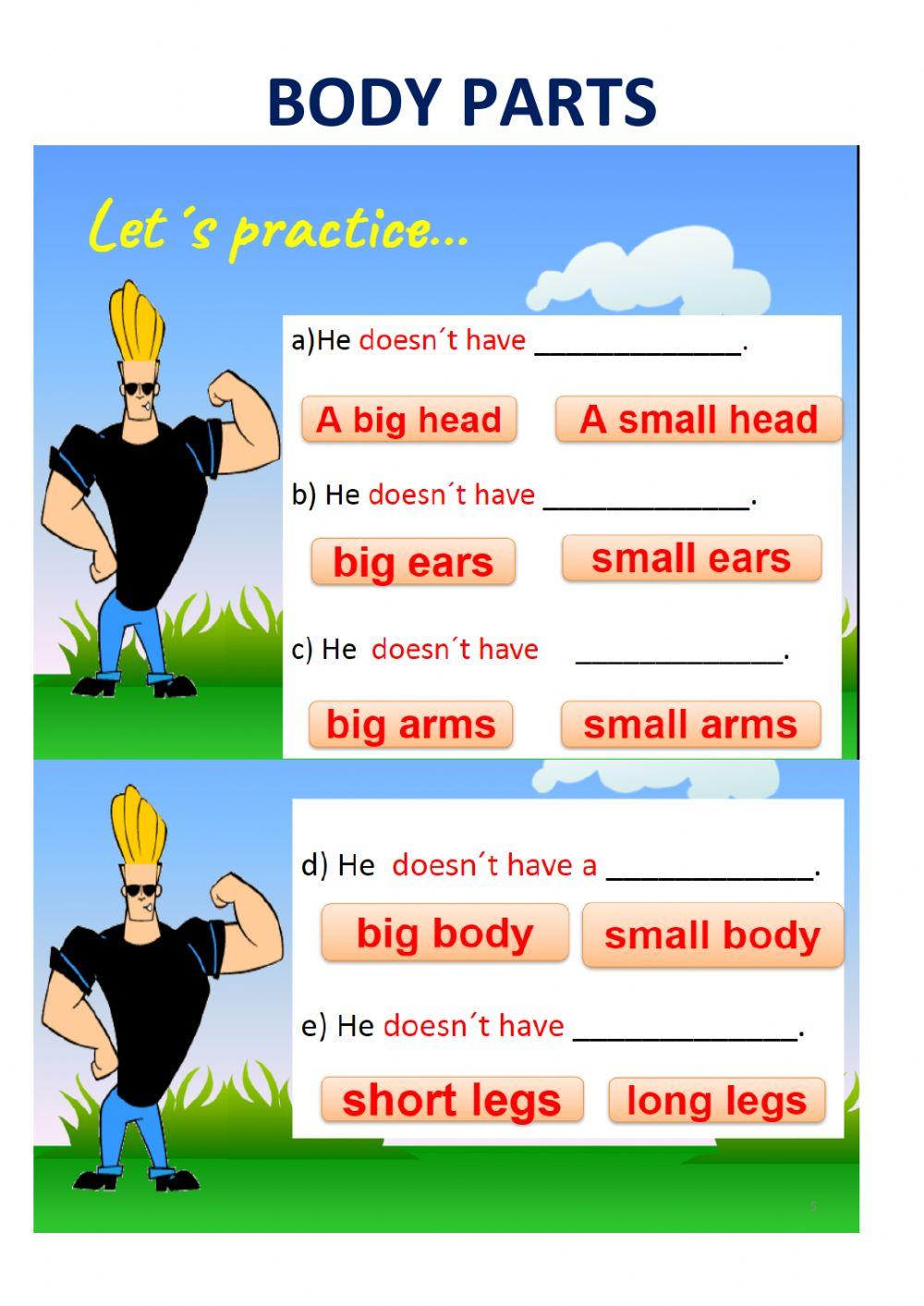 Body parts- 2nd grade