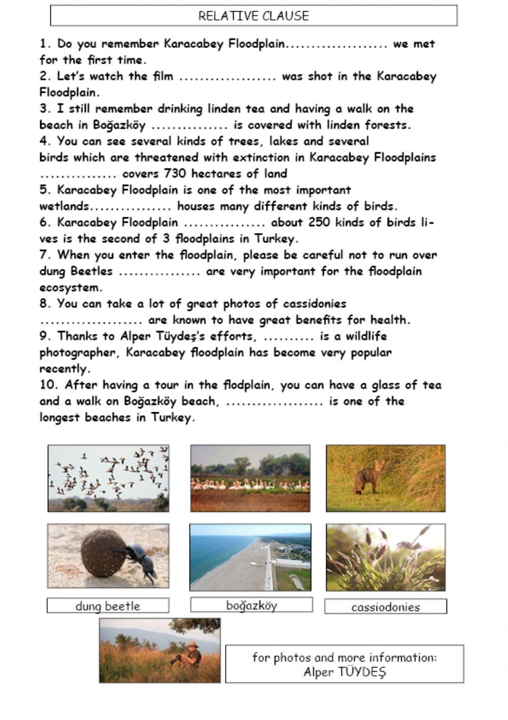 Relative Clause Online Worksheet Live Worksheets relative-clause-online-worksheet-live-worksheets