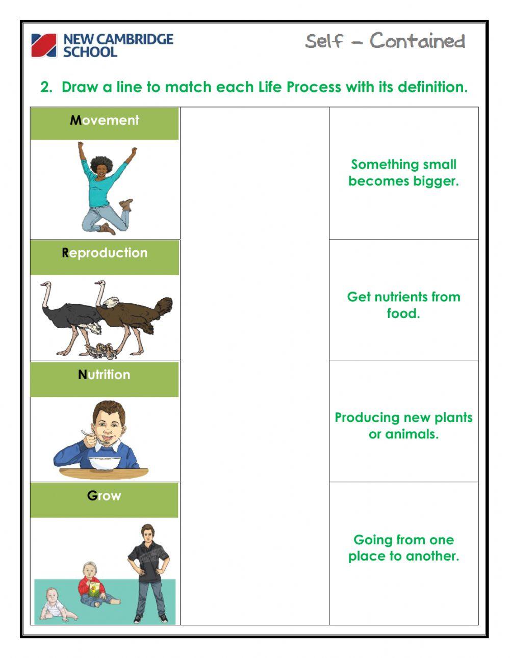 Life processes worksheet for grade 5 6 live worksheets 59 off