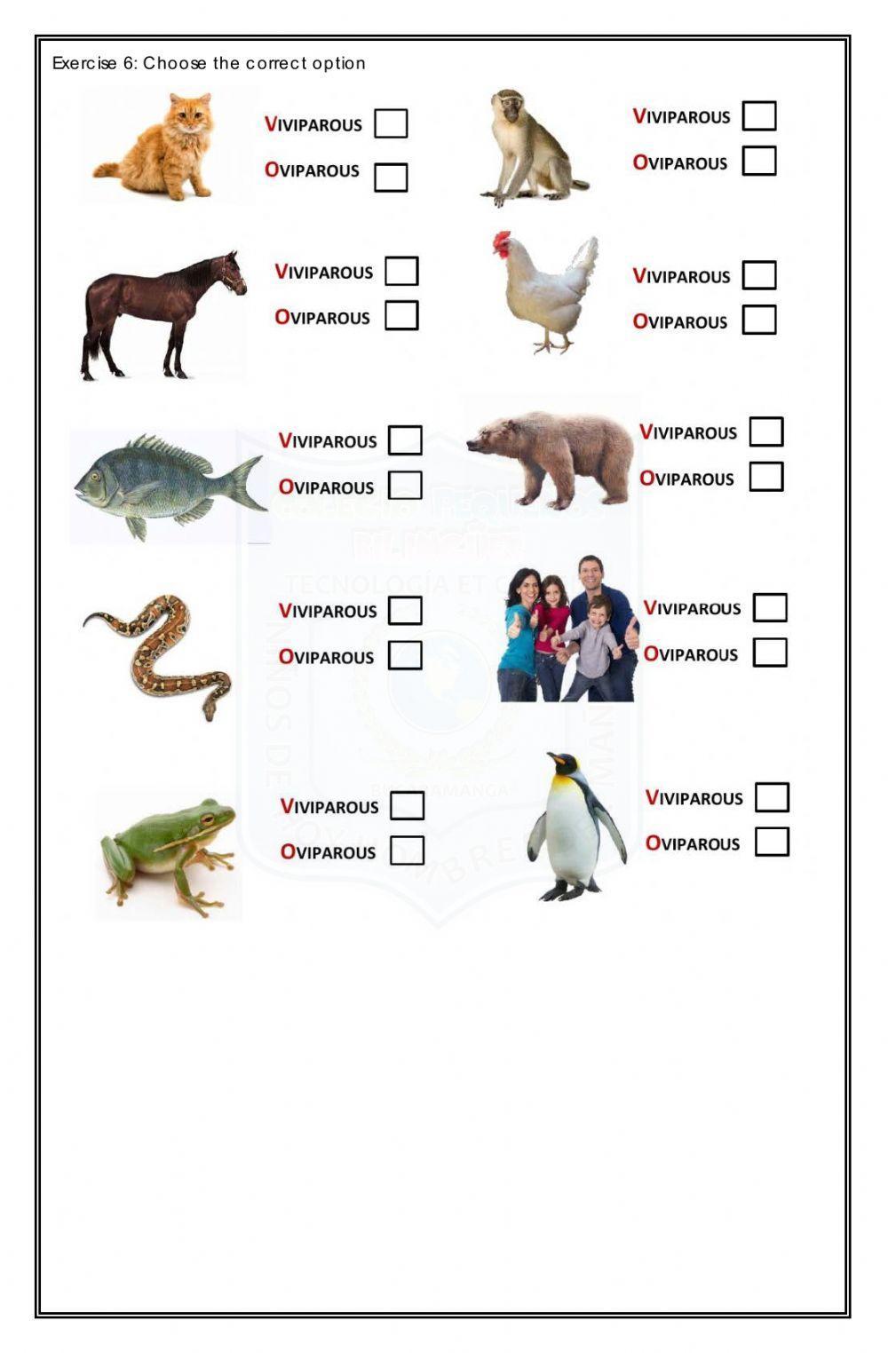 Pop quiz -animal and plant life cycle-second term- science