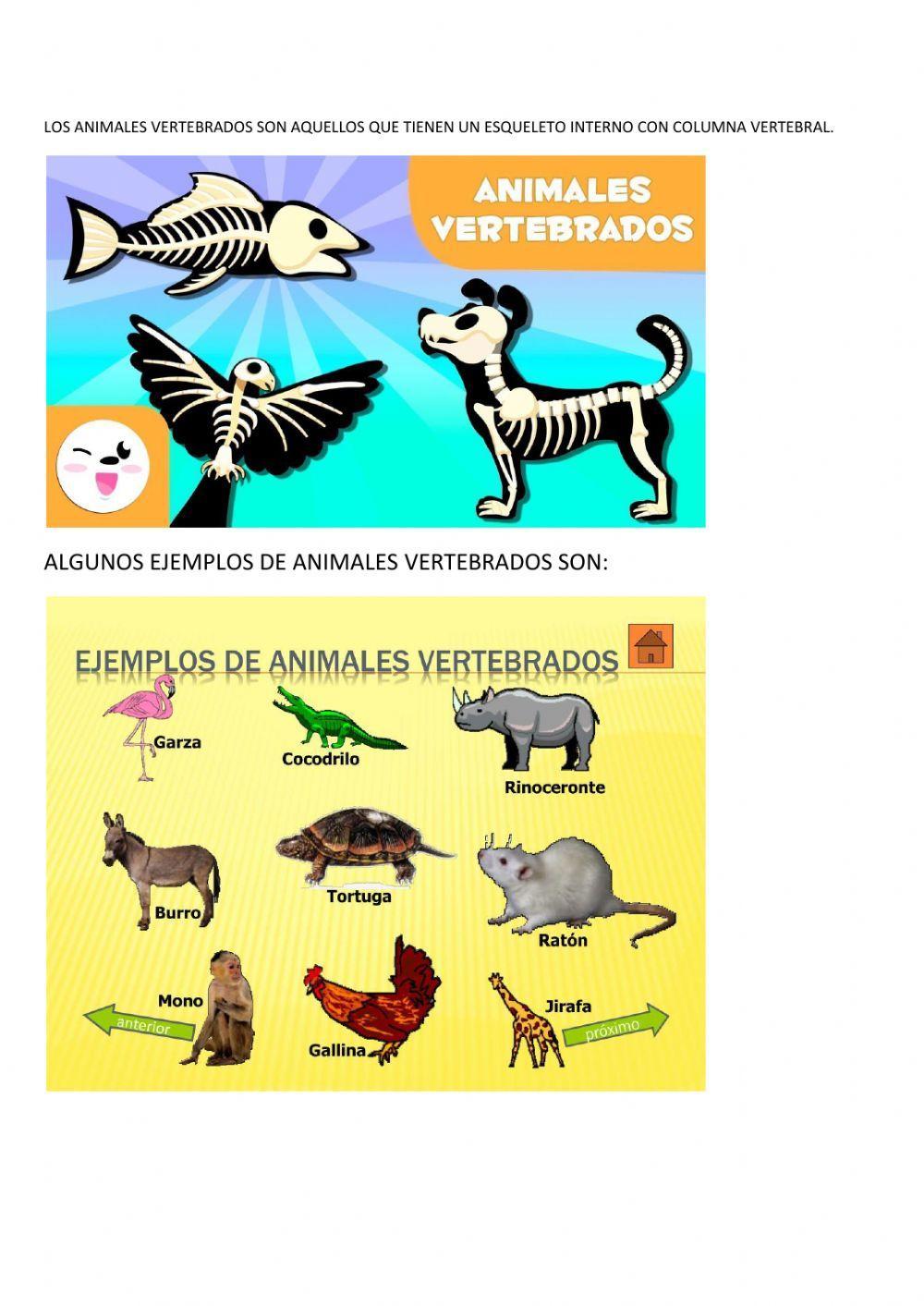 El reino animal. parte 1. animales vertebrados.