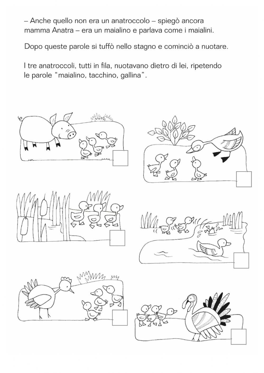 4  -  Gli anatroccoli