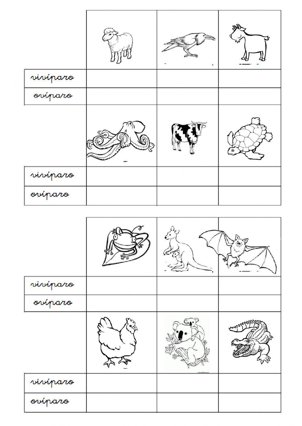 Reproducción dos animais