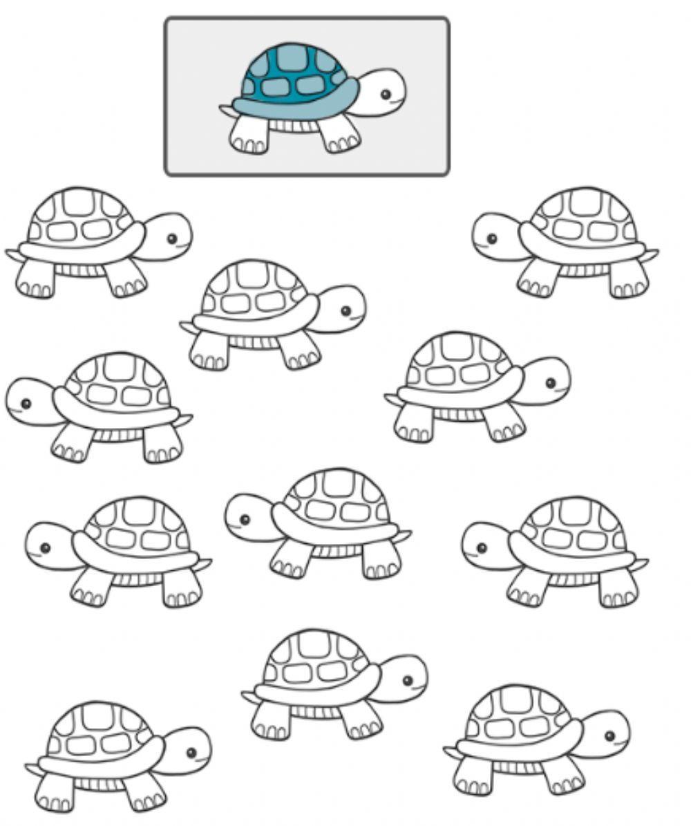 Haz clic sobre las tortugas que caminan hacia la derecha