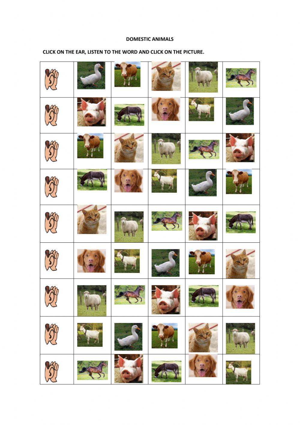 Domestic animals listening exercise Domestic animals listening exercise