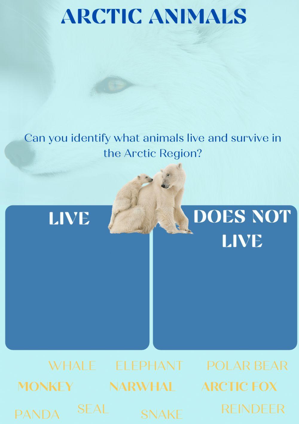 Arctic animals