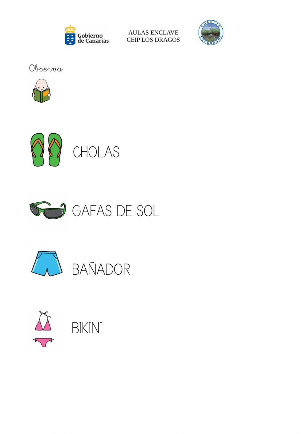 Conceptos básicos verano