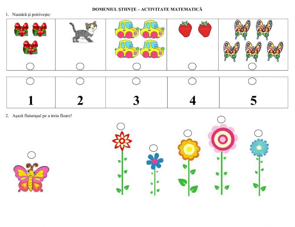Activitate matematica