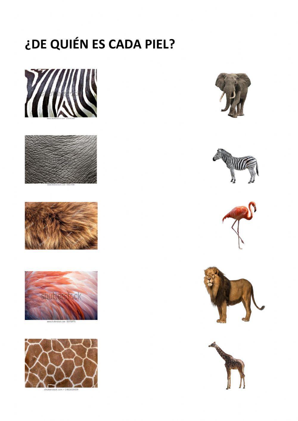 ¿de quién es esa piel?