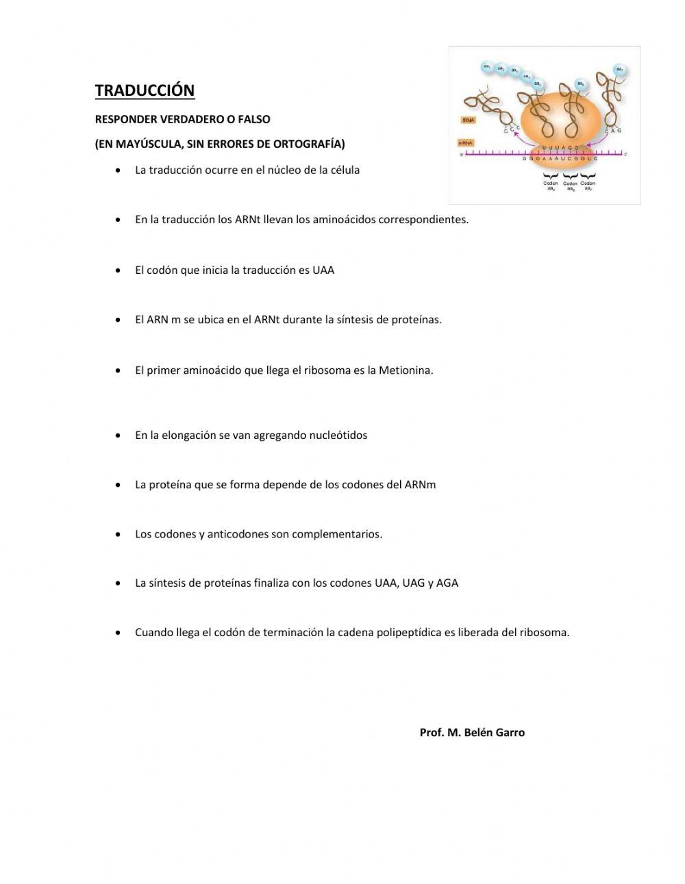 Traducción (síntesis de proteínas)