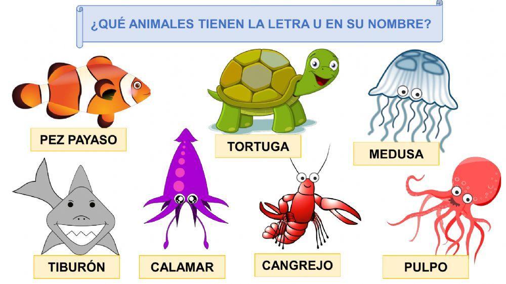 Animales del Mar