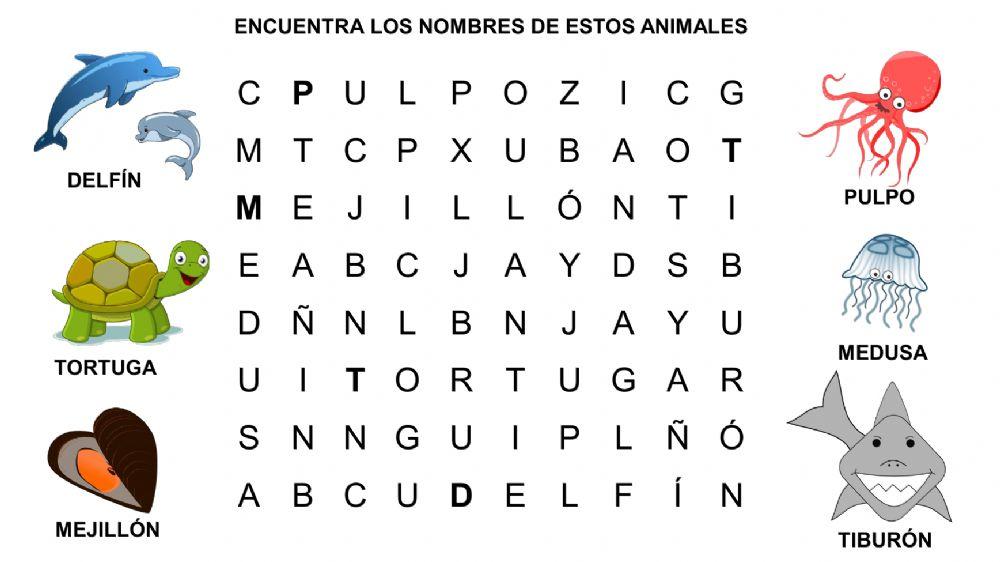 Animales del Mar