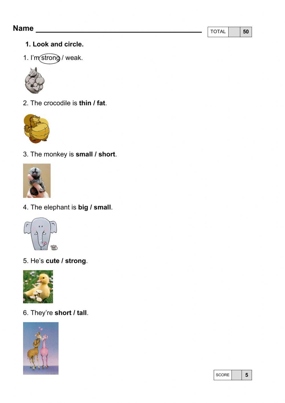 Final Test Grade 9 (funny)