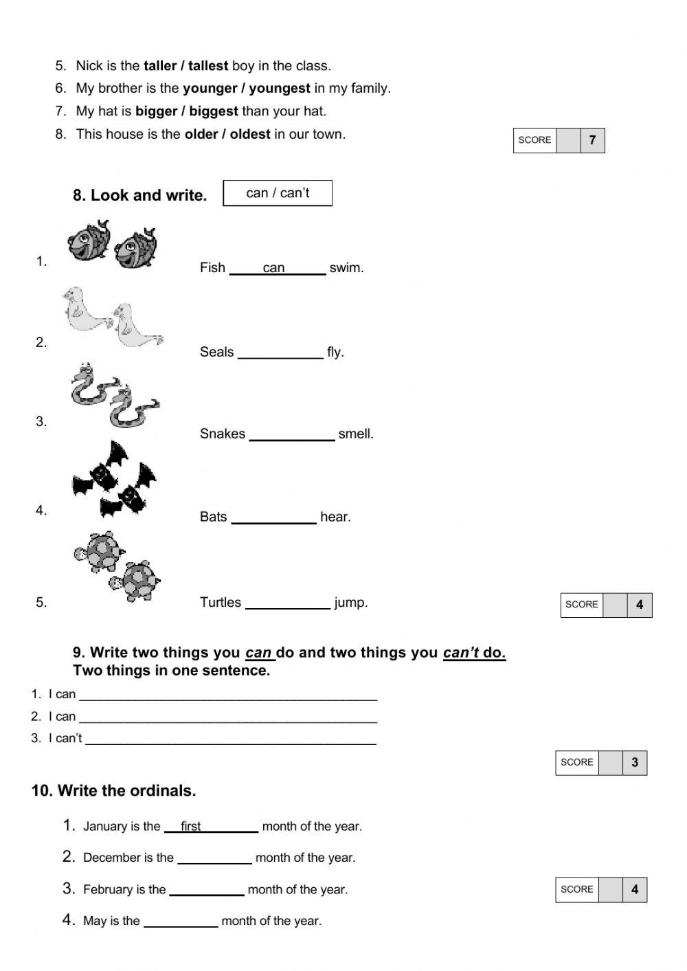 Final Test Grade 9 (funny)