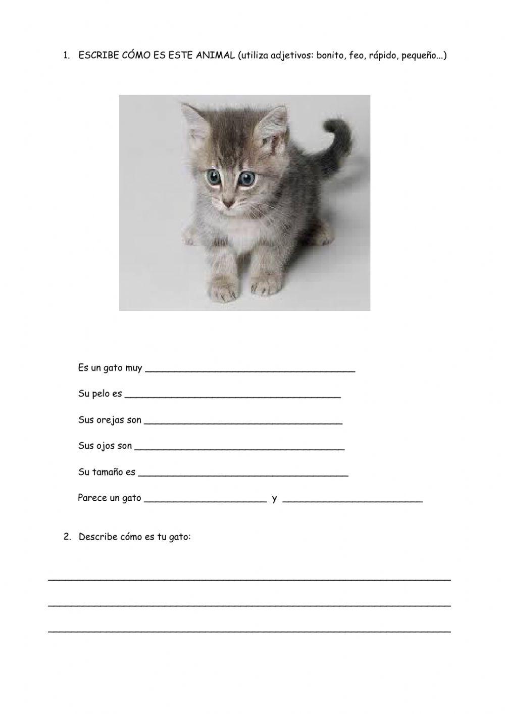 Describe utilizando adjetivos