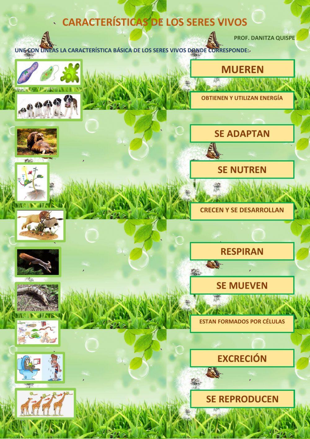 Características de los seres vivos