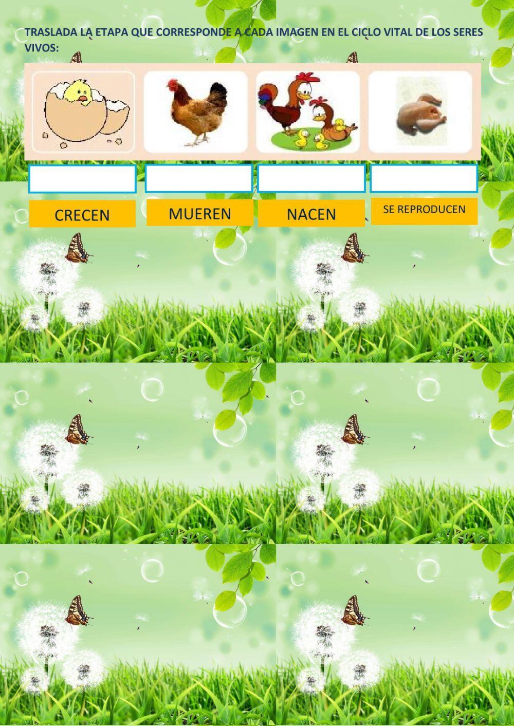 Características de los seres vivos