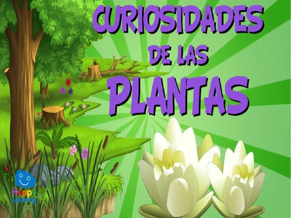 Curiosidades de las plantas