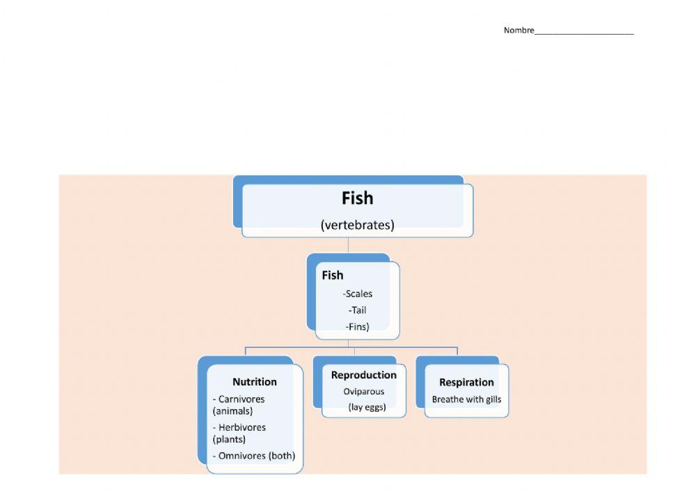 Unit 4 Fish Scheme