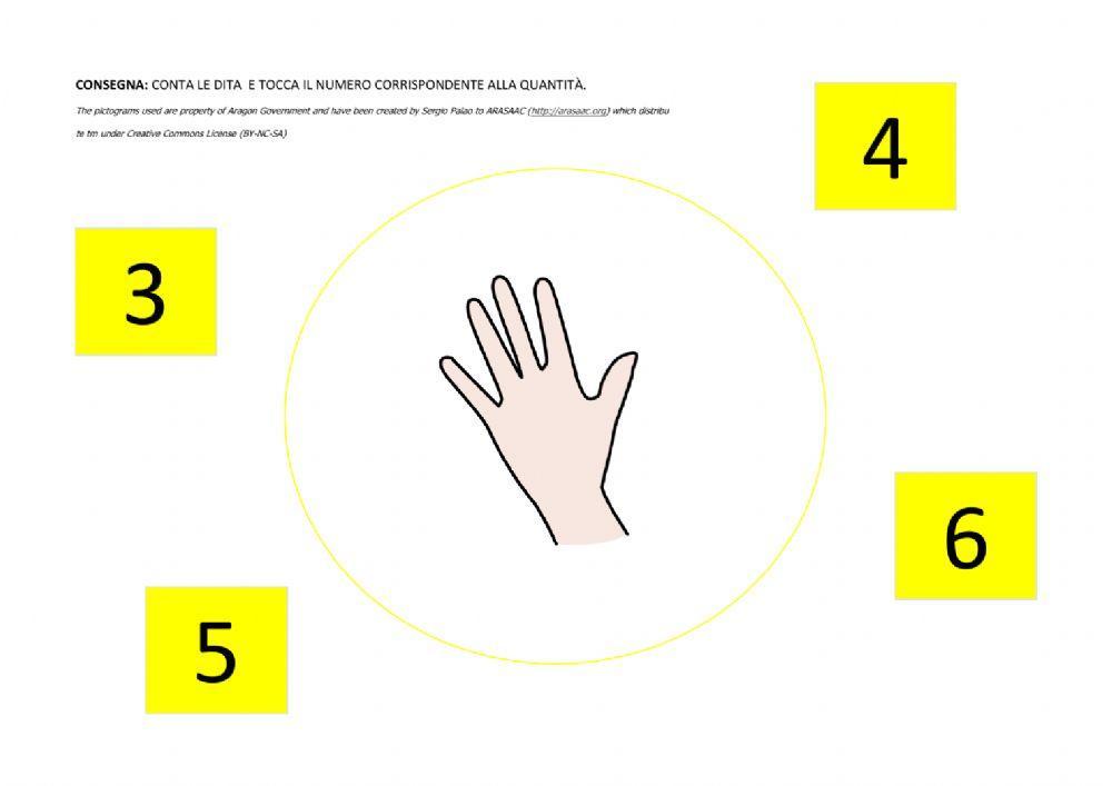 Associazione numero-quantità entro il n. 7.