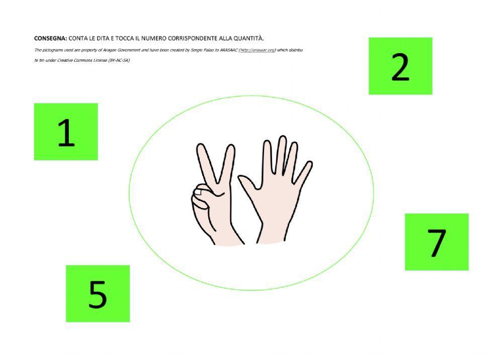 Associazione numero-quantità entro il n. 7.