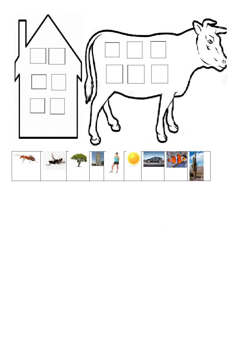 Seres vivos e inertes