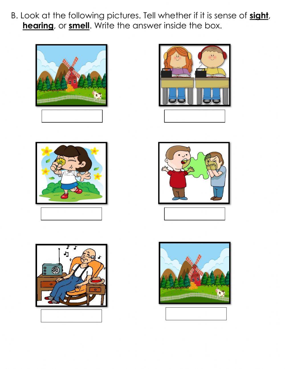 Sense of Sight, Hearing, Smell