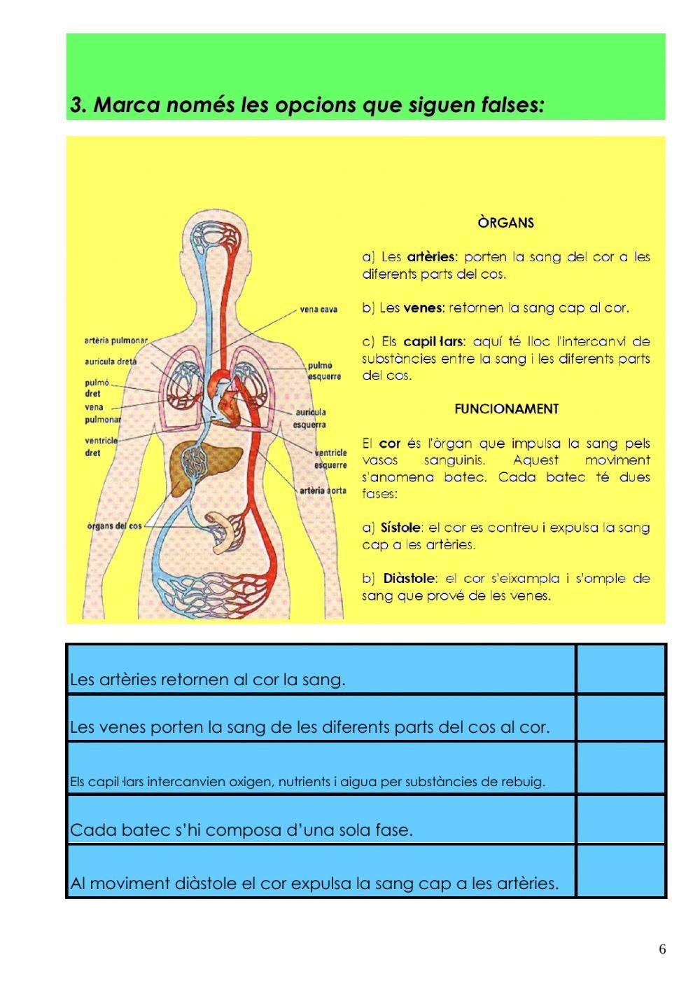 Comprensió Escrita Prova 2 PT3