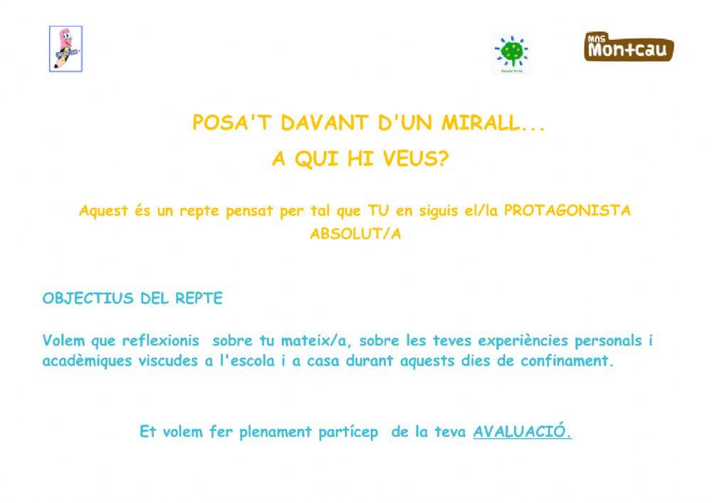 Em miro en un mirall 1