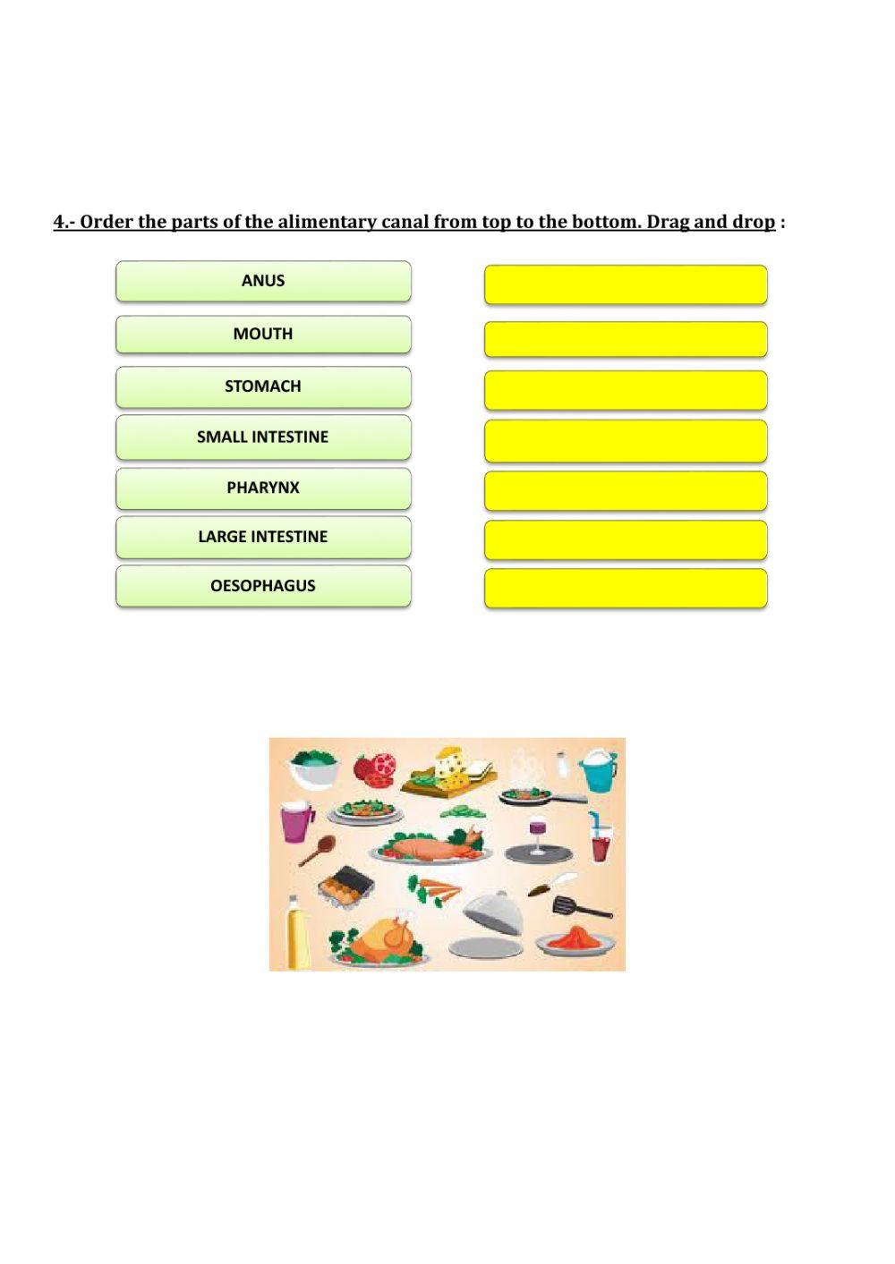 Natural Sciences - unit 4 Test