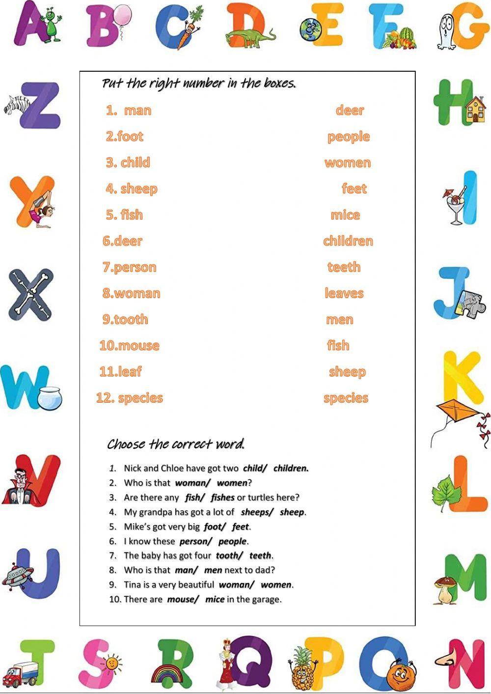 Irregular Plural Nouns