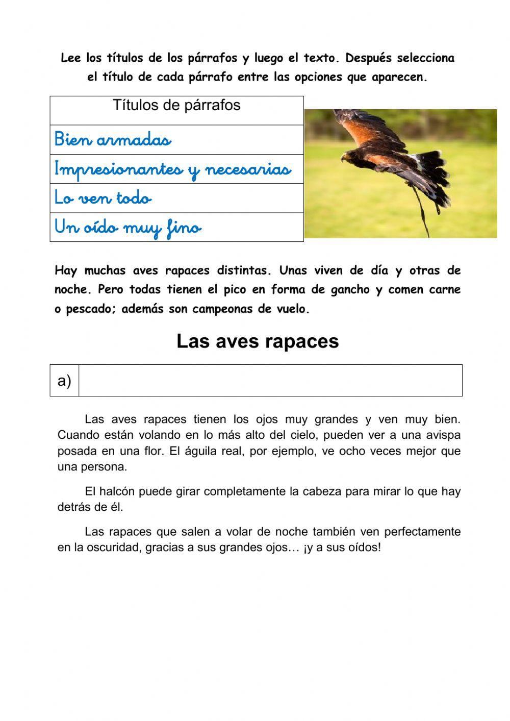 Aves rapaces Aves rapaces