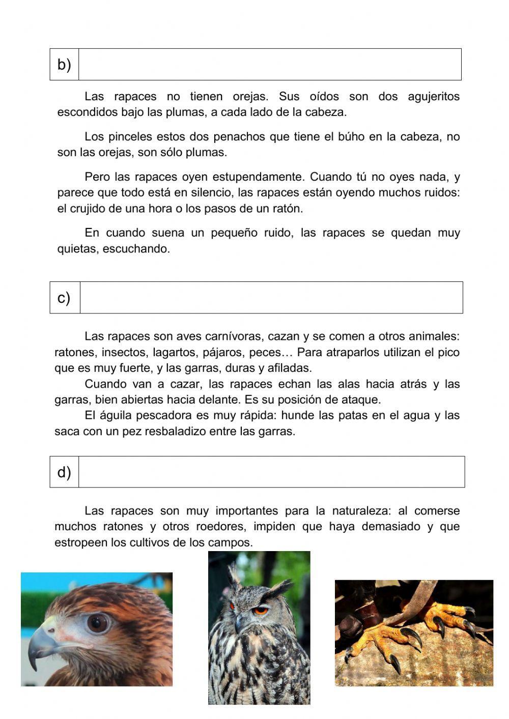 Aves rapaces Aves rapaces