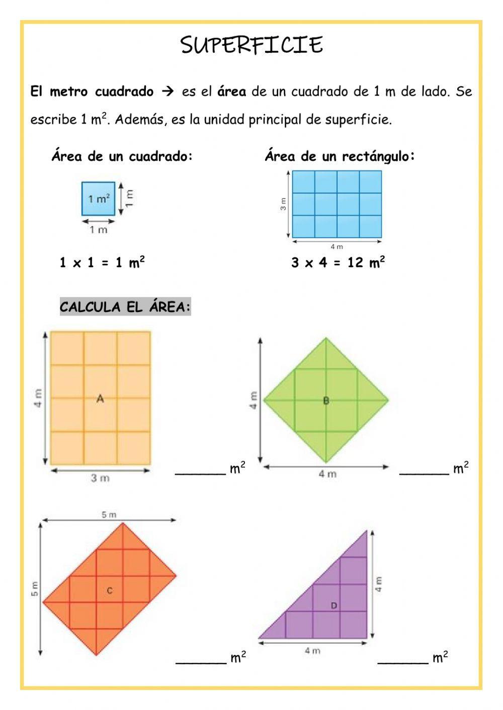 Longitud y superficie