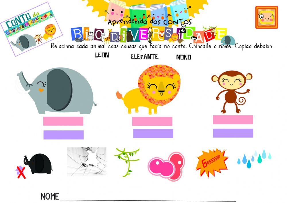BIODIVERSIDADE Conto