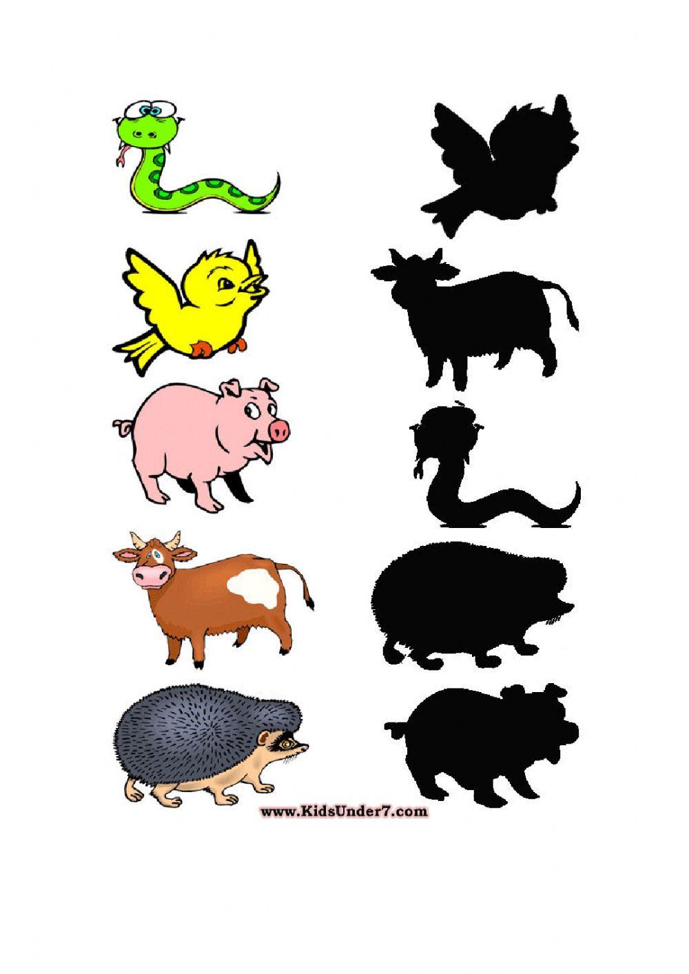 LOTU ANIMALIA BERE ITZALAREKIN